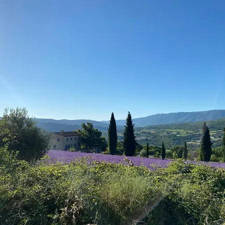 Maison d'hôtes Une hirondelle en Provence-3